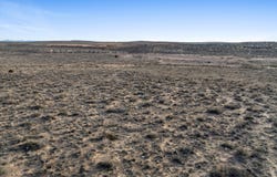 2113 Autumn Sage Avenue NE, Rio Rancho, NM 87144