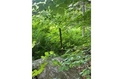 80 Gammon Road, Peru, ME 04290