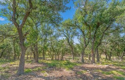 996 FM 479, Mountain Home, TX 78058