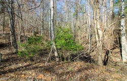 Lot 421 Mystic Star Drive, New Tazewell, TN 37825
