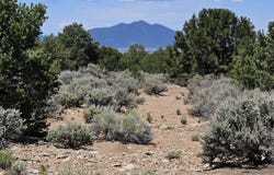 30 Dulcimer Rd, Questa, NM 87556-0000