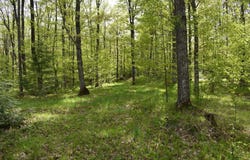 1813 State Highway 101, Florence, WI 54121