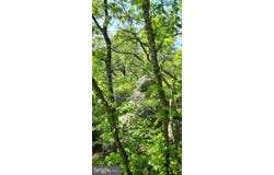 227 HAINES DRIVE, CAPON BRIDGE, WV 26711