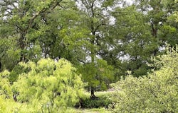 Tbd 13 FM 1029, Goldthwaite, TX 76844