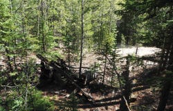 0 Gamble Gulch, Black Hawk, CO 80422