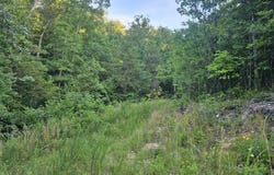 006 Tomahawk Slab Road, Saint Joe, AR 72675