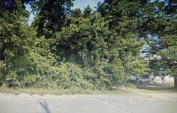 1270 Maynard Street, Macon, GA 31217