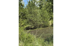 Tbd County Road 946, Squires, MO 65755