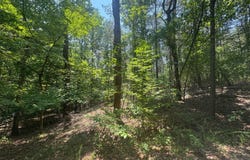 154 Oak Grove Road, Middleton, TN 38052