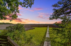 3155 Mulan Lane, Charleston, SC 29414