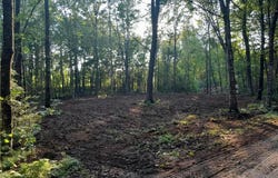 Tbd Willy Road, Big Bend Twp, WI 54895