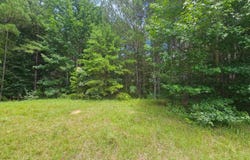 000 BUSBY CHURCH ROAD, Nauvoo, AL 35578