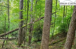 Fall Creek Meadows Lane, Elk Park, NC 28622