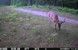 6898 E 5 Mile Road, Luther, MI 49656