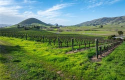 4915 Orcutt Road, San Luis Obispo, CA 93401