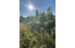 Map2 Lot30 Weeman Road, Detroit, ME 04929