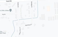 Red Pine Lane lot: 1, Croswell, MI 48422