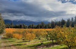 32624 S Finley Point Road, Polson, MT 59860