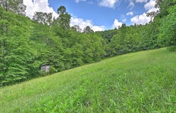 000 Goode Hollow Road, Duffield, VA 24244