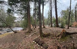 0 Route 29, Dolgeville, NY 13329