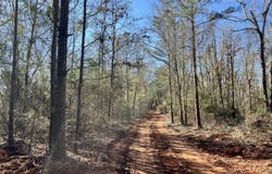 County Road 39, Selma, AL 36701