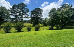 76 STOREY BOOK TRAIL, WILSONVILLE, AL 35186