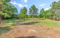 Hwy 69, Alba, TX 75410