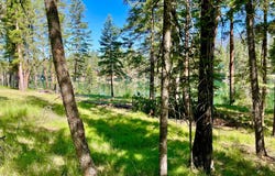 45 Osprey Drive E, Thompson Falls, MT 59873