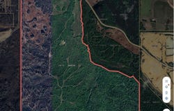 Hogfoot Road, Senatobia, MS 38668