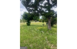 93 Soulville, Sparta, GA 31087