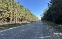 0028 Mt Zion, Gordon, AL 36343