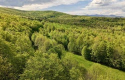 Rabbit Run, Fayston, VT 05673
