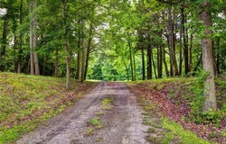 631 Rocky Bottom Road, Spring Grove, VA 23881