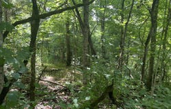 2750 Shadrick Ferry Road, Frankfort, KY 40601