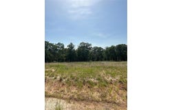 00 Stallion Meadows, Perrin, TX 76486