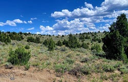 Tract_5A 3 Springs (lower portion) Trail, Alder, MT 59710