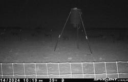 Tbd FM 1919, Seymour, TX 76380