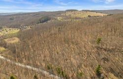 L9.113 Lutheranville Rd, Summit, NY 12175