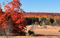 10677 SW Pine Ridge Drive, Fife Lake, MI 49633