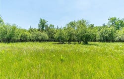 Middle Road, Dexter, NY 13634
