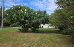 206 Commerce, Pettus, TX 78146