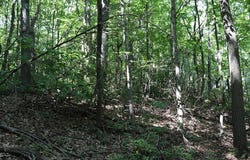 Lot 319 Ridge Run, Claysburg, PA 16625