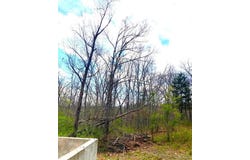 507 Pinewood Drive, Catawissa, MO 63015