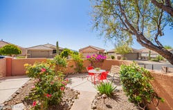 5042 W Desert Chicory Place, Marana, AZ 85658