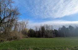 Pine Street, Omer, MI 48749