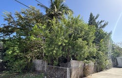 2433 Linda Avenue, Key West, FL 33040