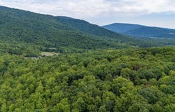 96 Acres BLACKWELLS HOLLOW RD, Crozet, VA 22932