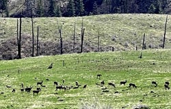 255 Ac Fall Creek Rd, Council, ID 83612