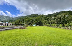 YABUCOA, 00767