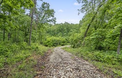 438 Ranch Drive, Rogersville, MO 65742